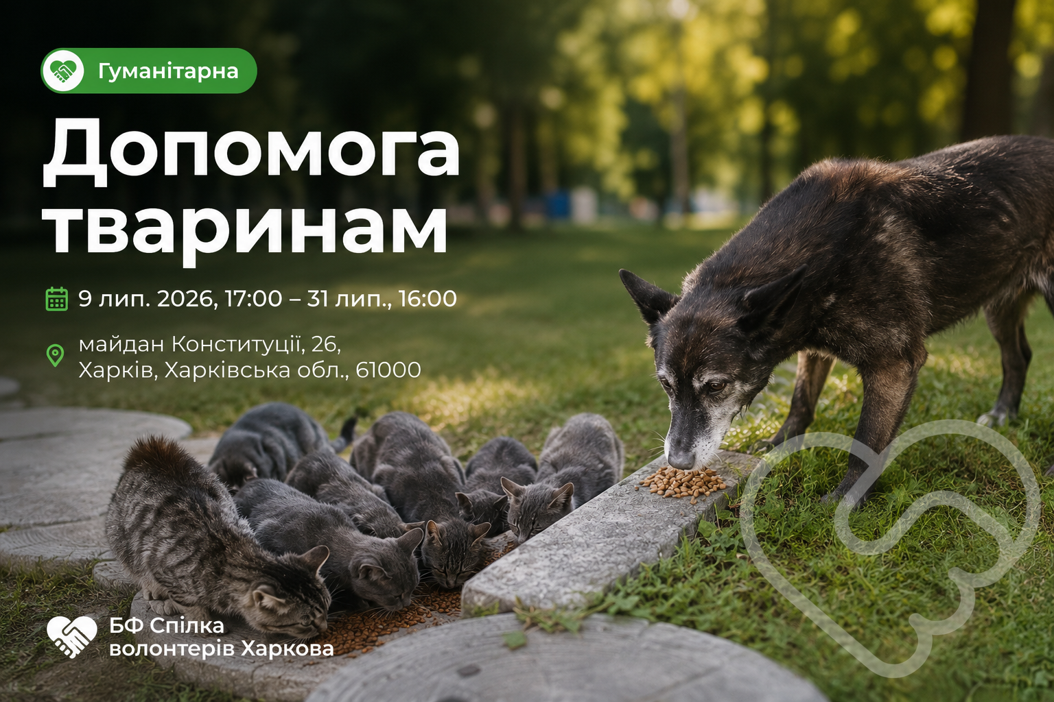Допомога тваринам — фото 1